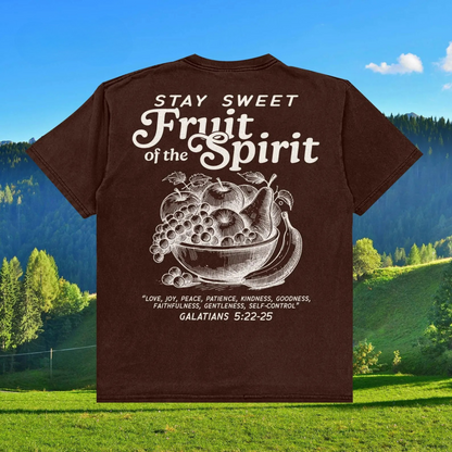 Fruit Of The Spirit Tee V5