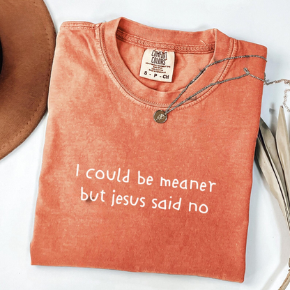 I Could Be Meaner Tee