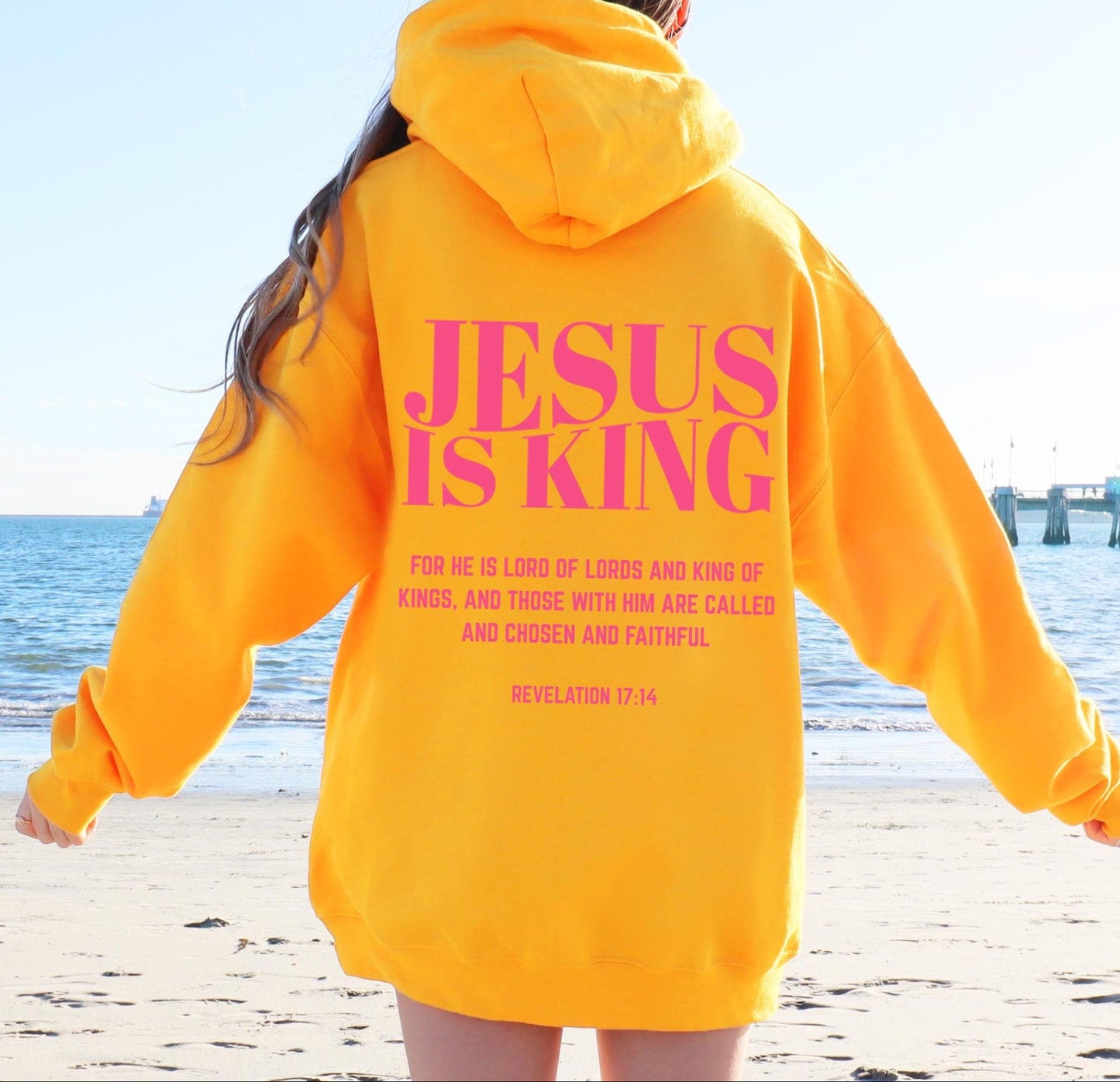 Jesus Is King Christian Hoodie V5